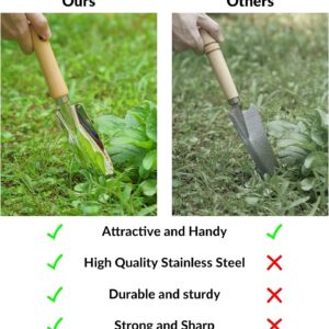 Garden Tools Set Stainless Steel Wood Handle - Image 4