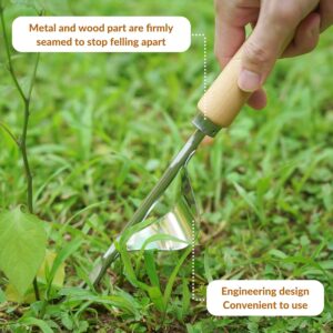 Garden Tools Set Stainless Steel Wood Handle - Image 6