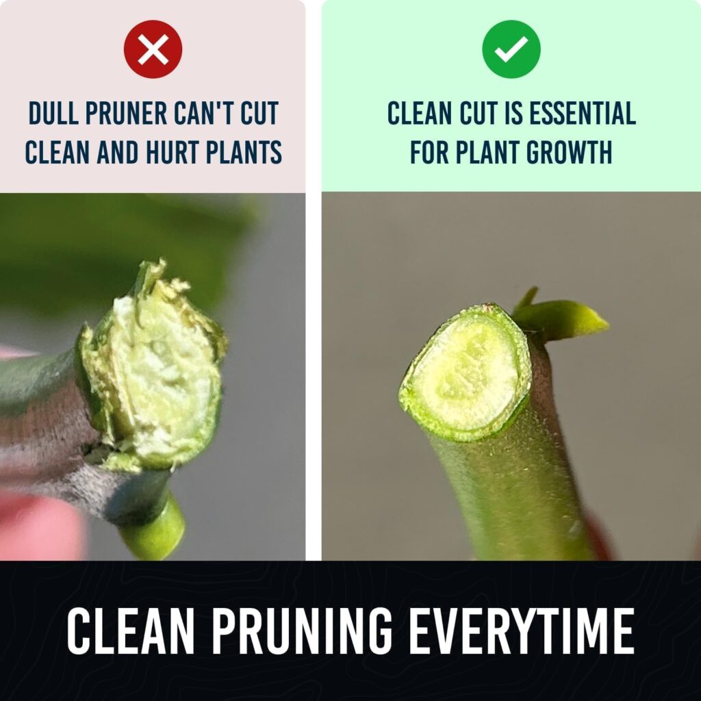 Pruning Shears Japanese Steel Rust-Resistant - Image 5
