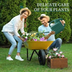 Watering Can Plastic 2 Gallon Outdoor - Image 3